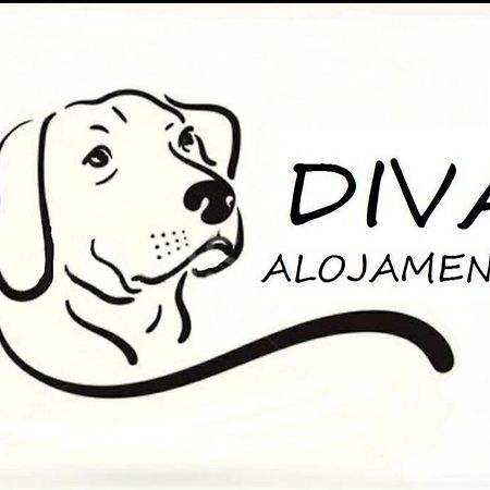 Diva Alojamento Matosinhos  Esterno foto